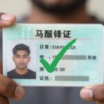 CNH renovada automaticamente: elegibilidade e passo a passo.