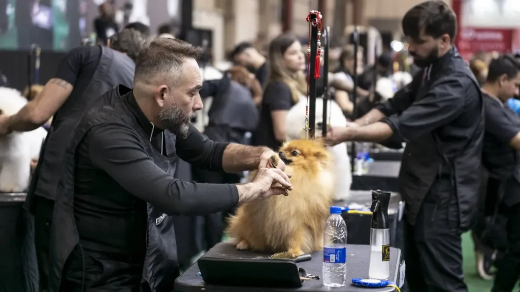 Profissional dando banho e tosa em um cachorro